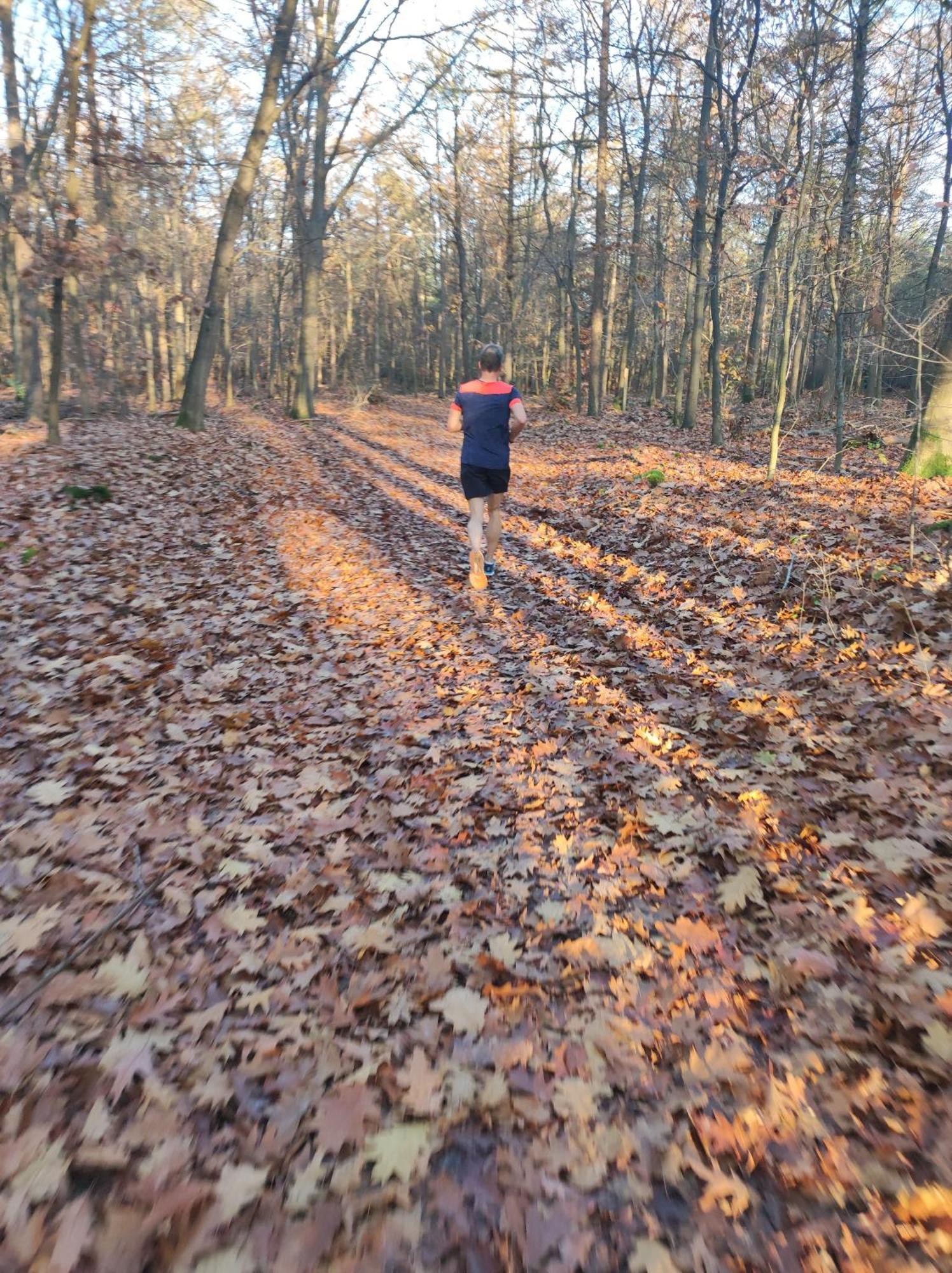 Poort Van De Veluwe Voorthuizen Ngoại thất bức ảnh